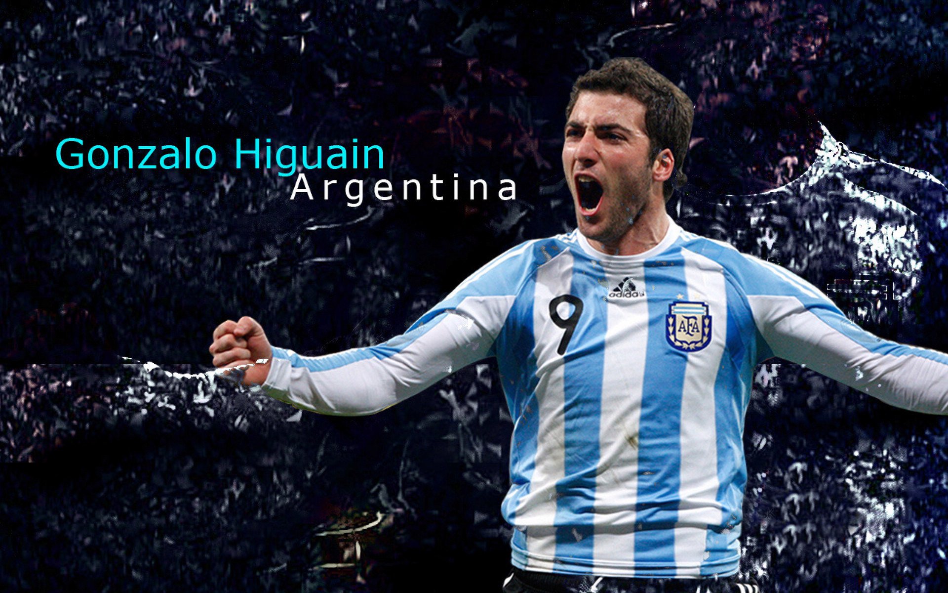 哥伦比亚传统马术赛事“Sinjska Alka”在2024年成功举办，吸引众多观众参与。